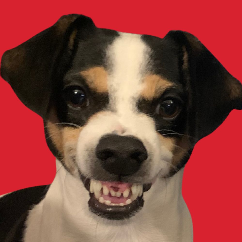 redbeez.bsky.social profile picture