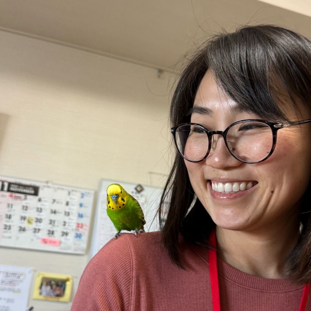 Aki Tanimoto