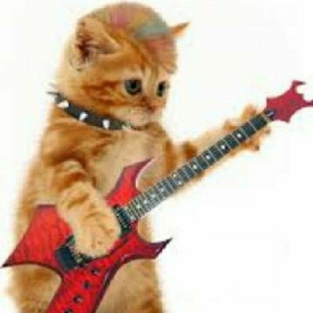 olivia (joao) rodrigo 🎸