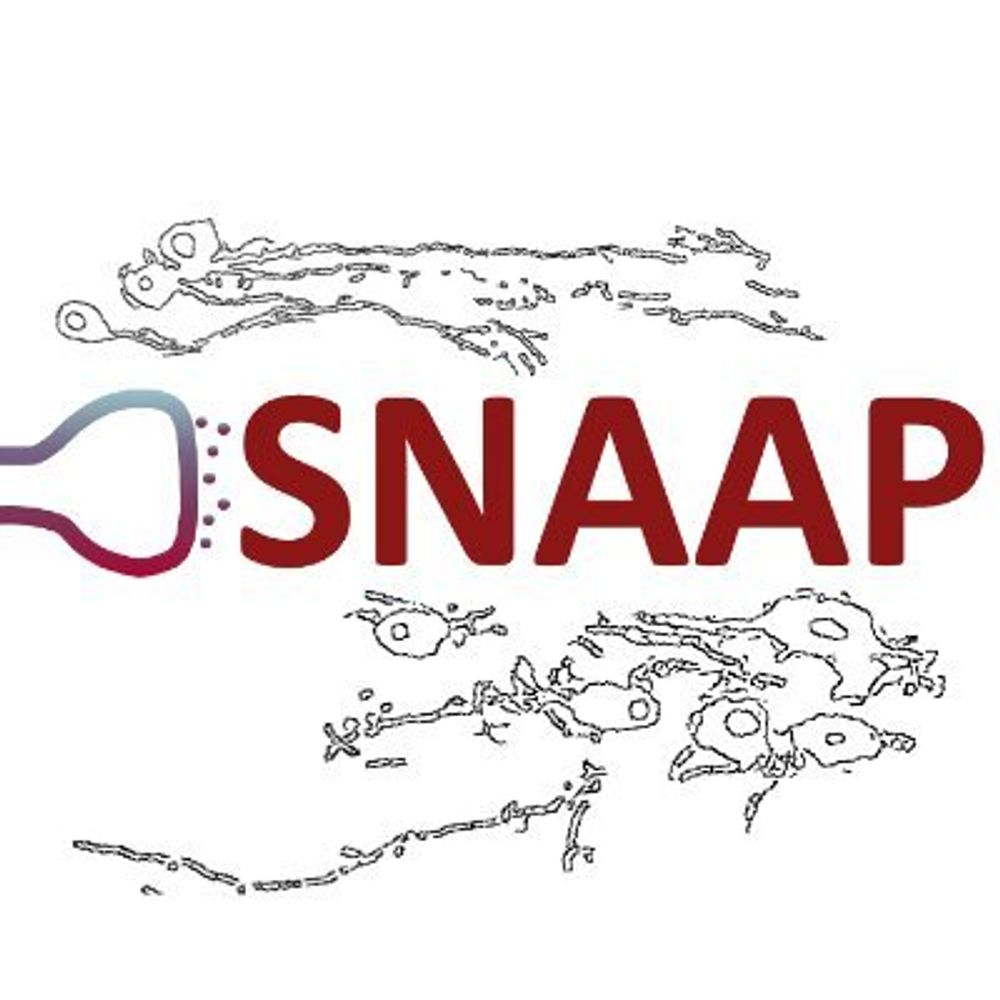 Stanford Neuro Application Assistance Program