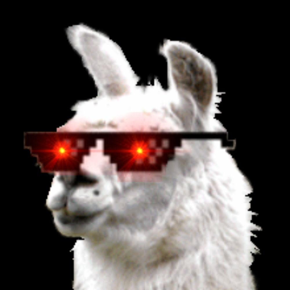 llama6666