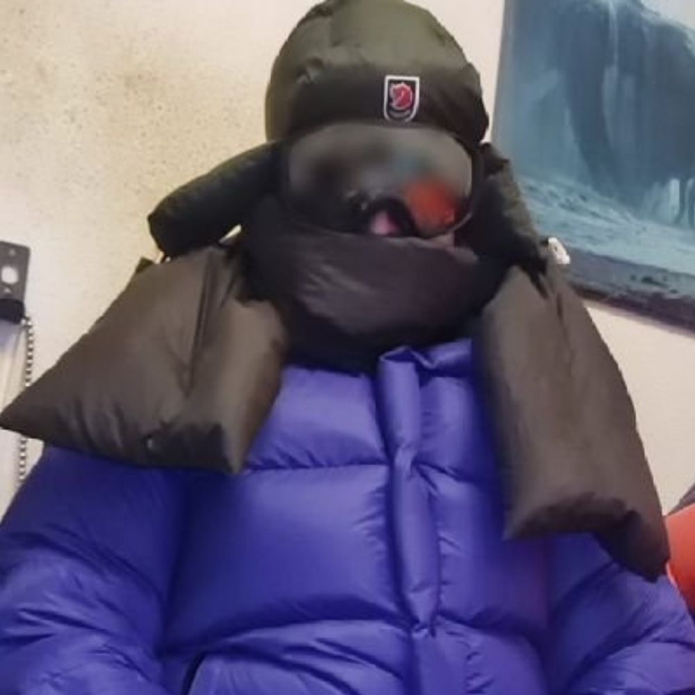 DMüller