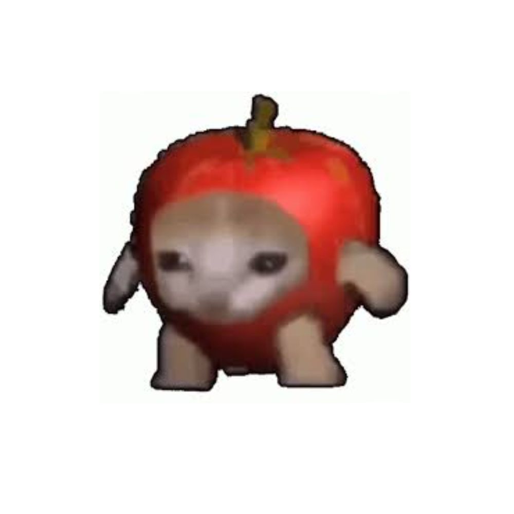 이소