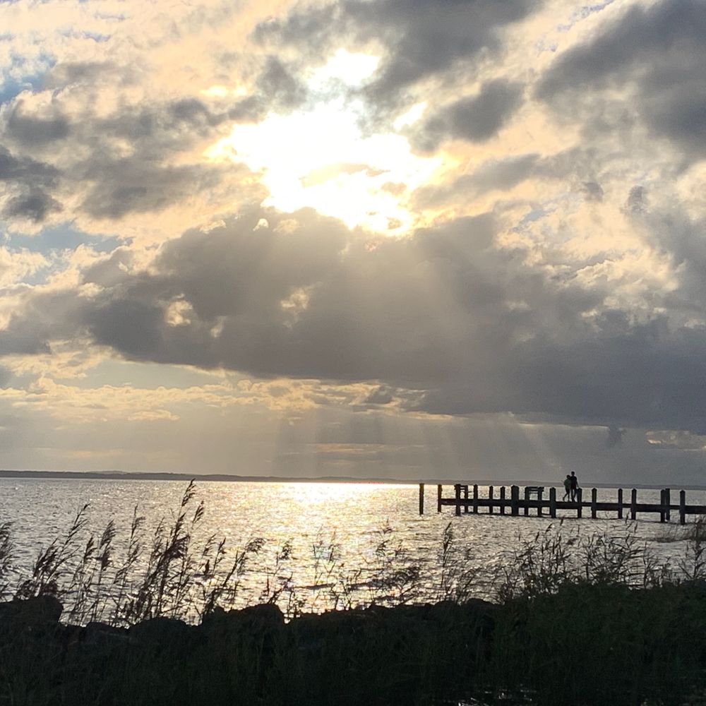 Daylight Genealogy • Shining Light on Your Ancestors