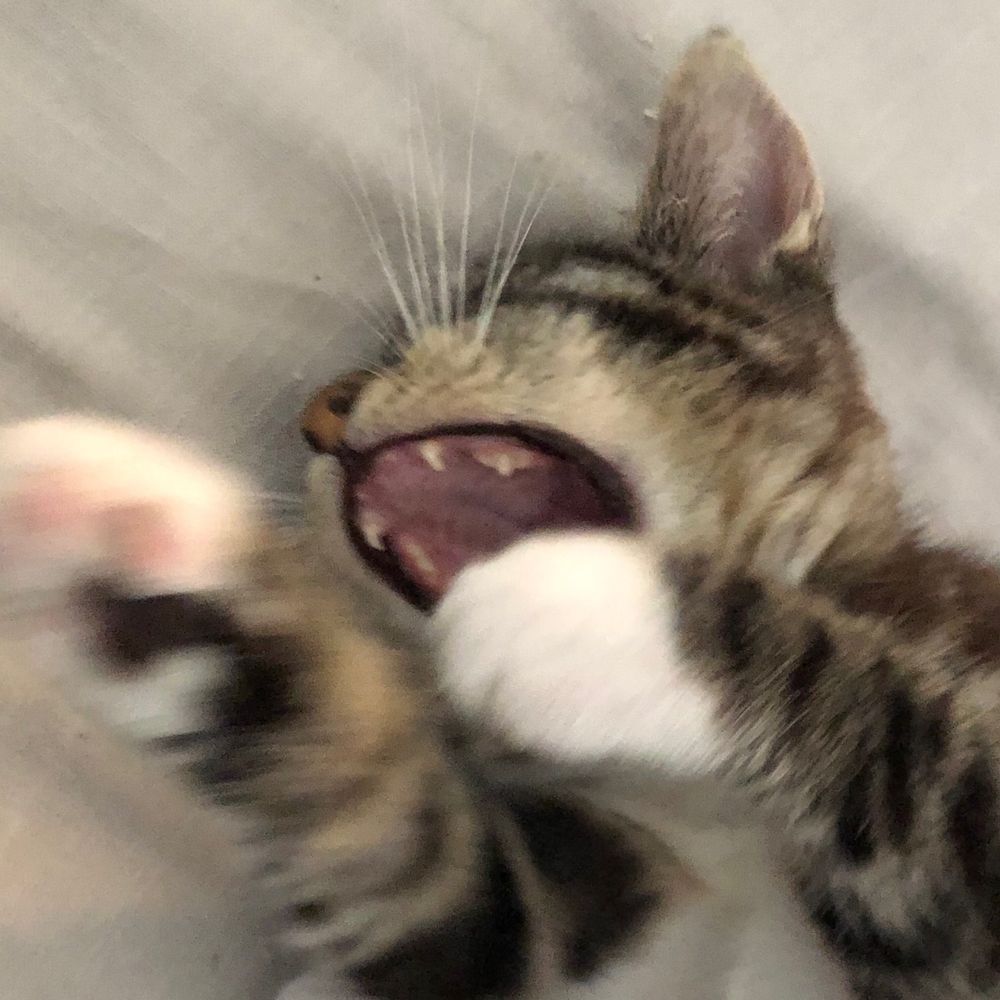 ntswmr