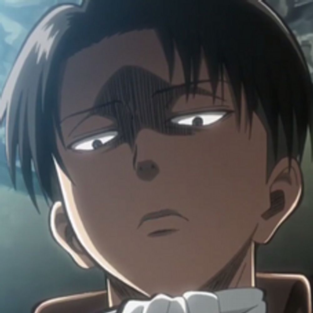 Captain Levi