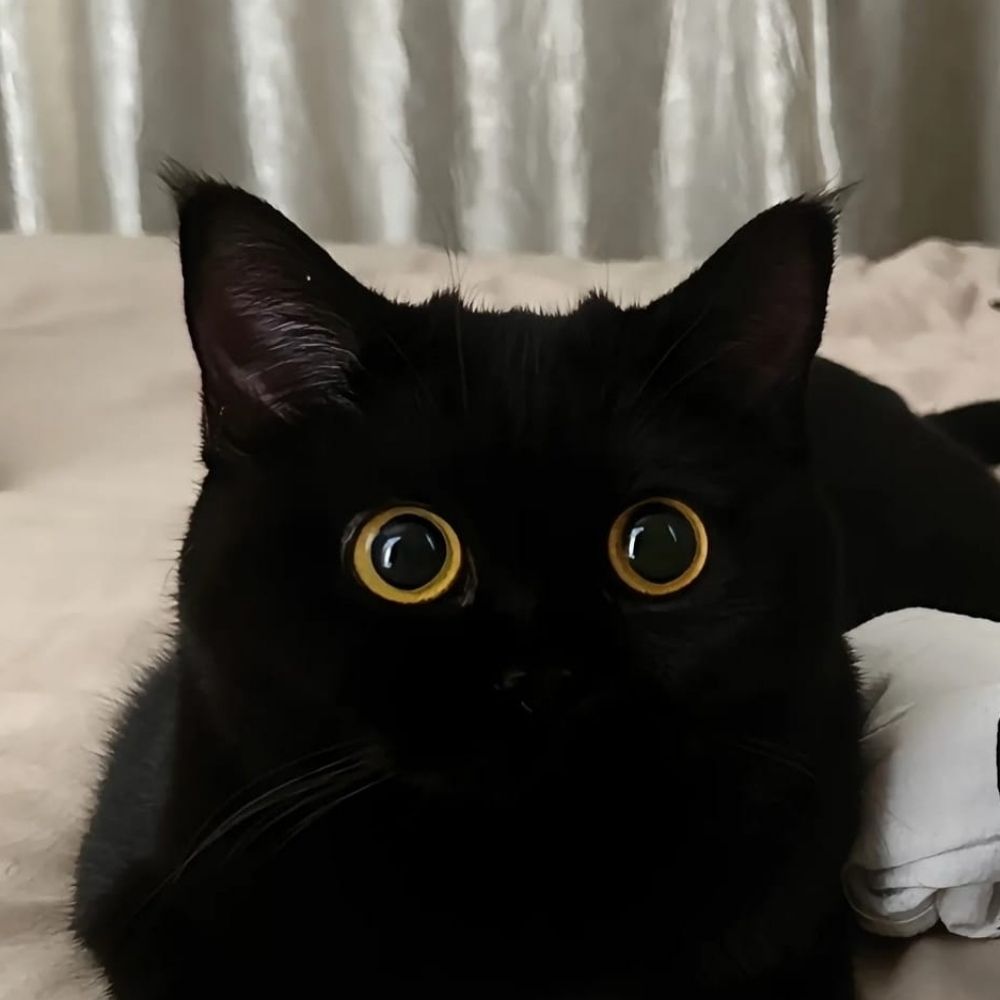 Débora ☾ 