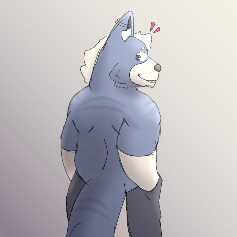 Luc the Shark-Dog