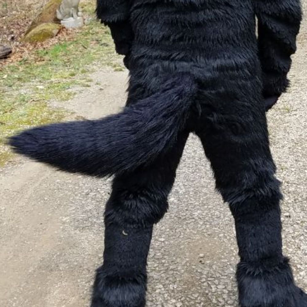 Obsidian D Werewolf's avatar