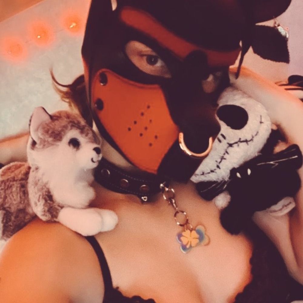 Bad Little Pup~