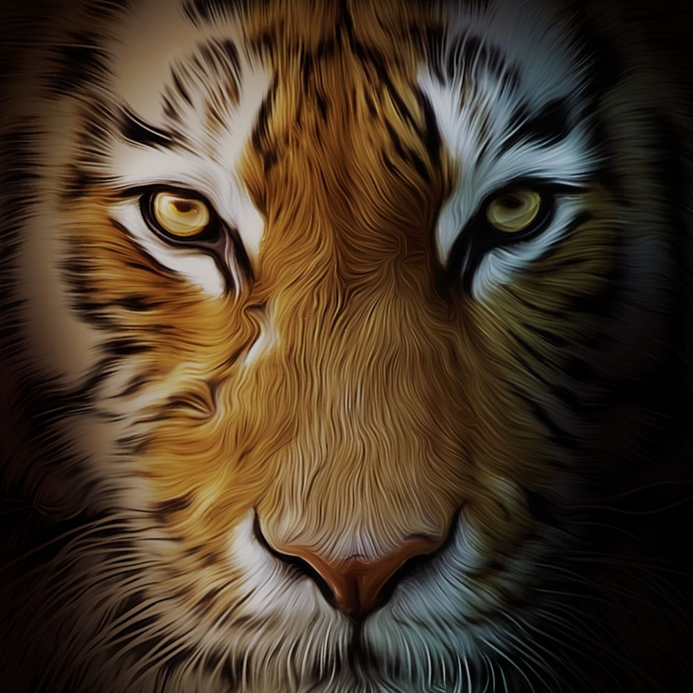 Tiger Warwick