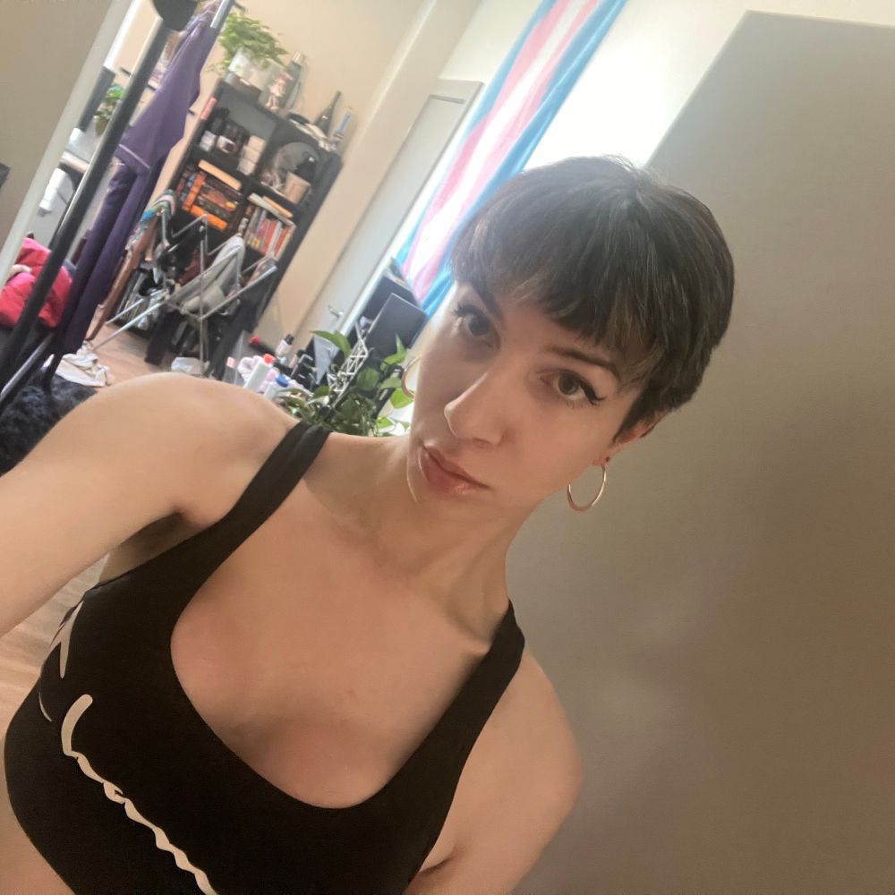 shiningknightx.bsky.social profile picture
