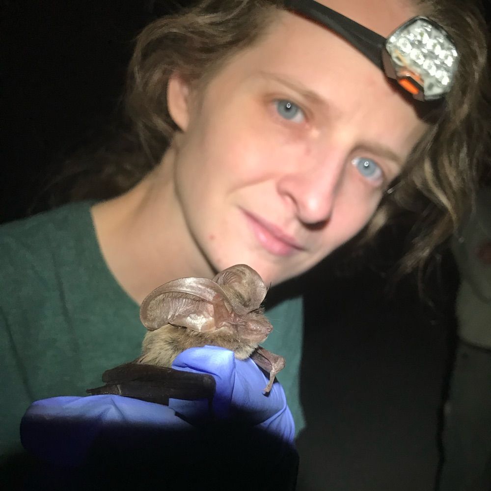 M. Elise Lauterbur
