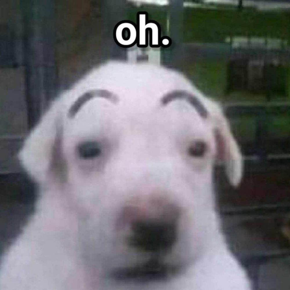 Devious Shibe