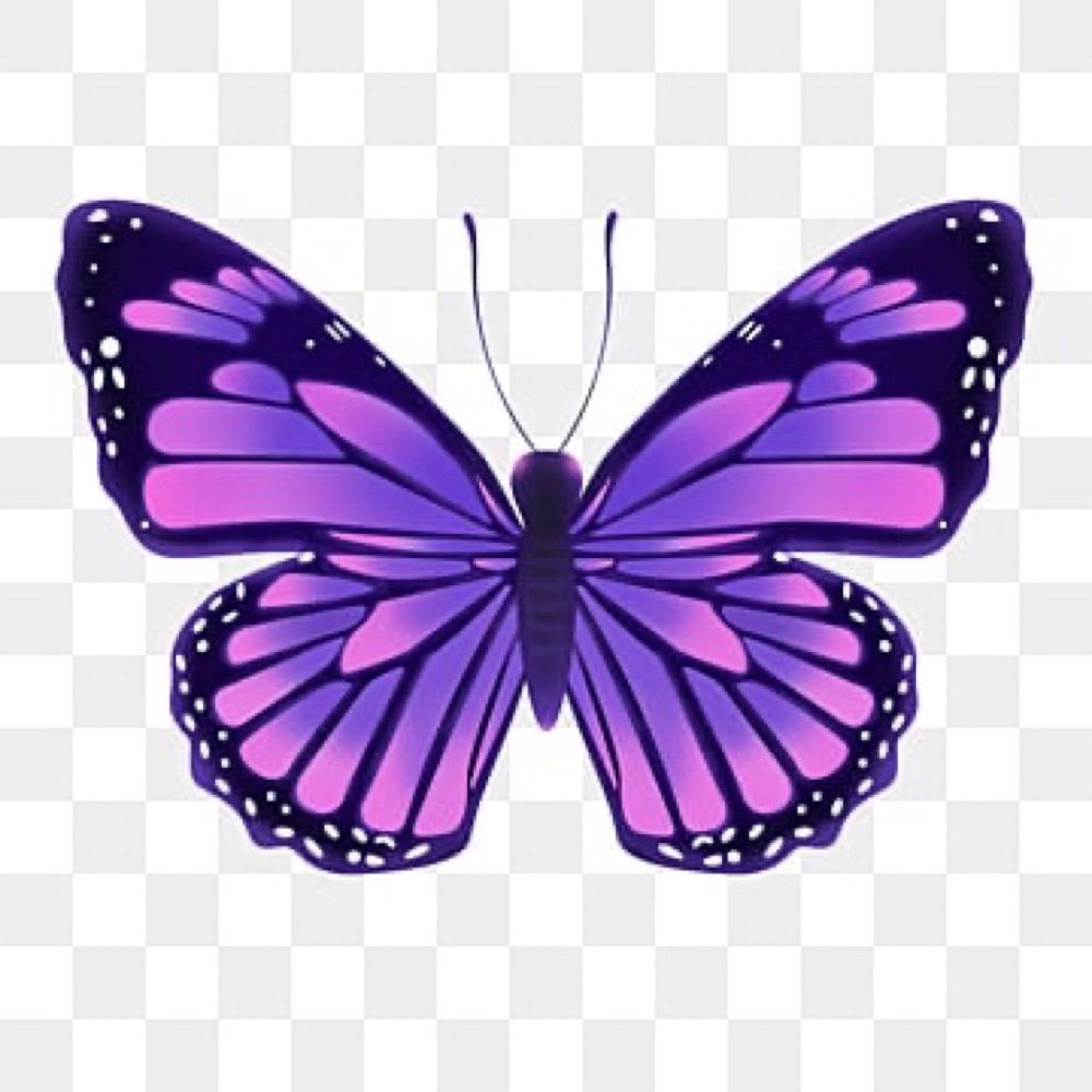 Profile picture purplebuterfly.bsky.social