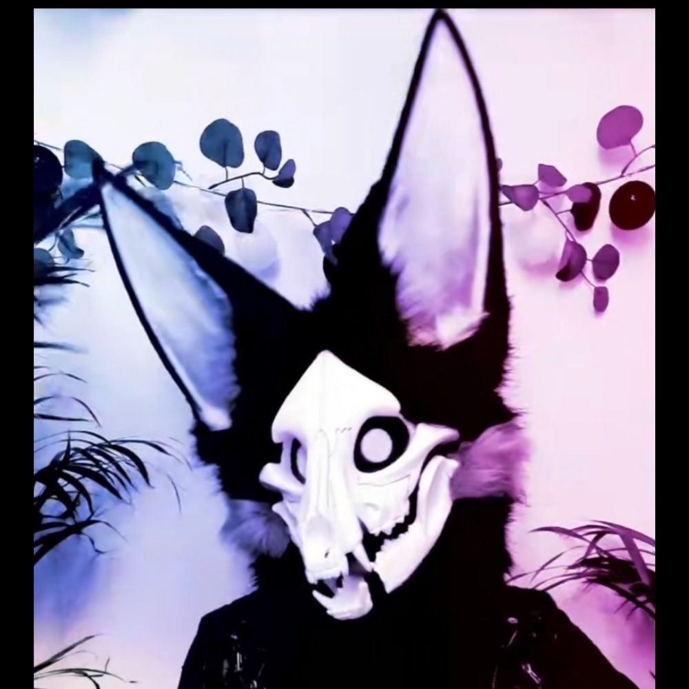 Grayce the Skulldog