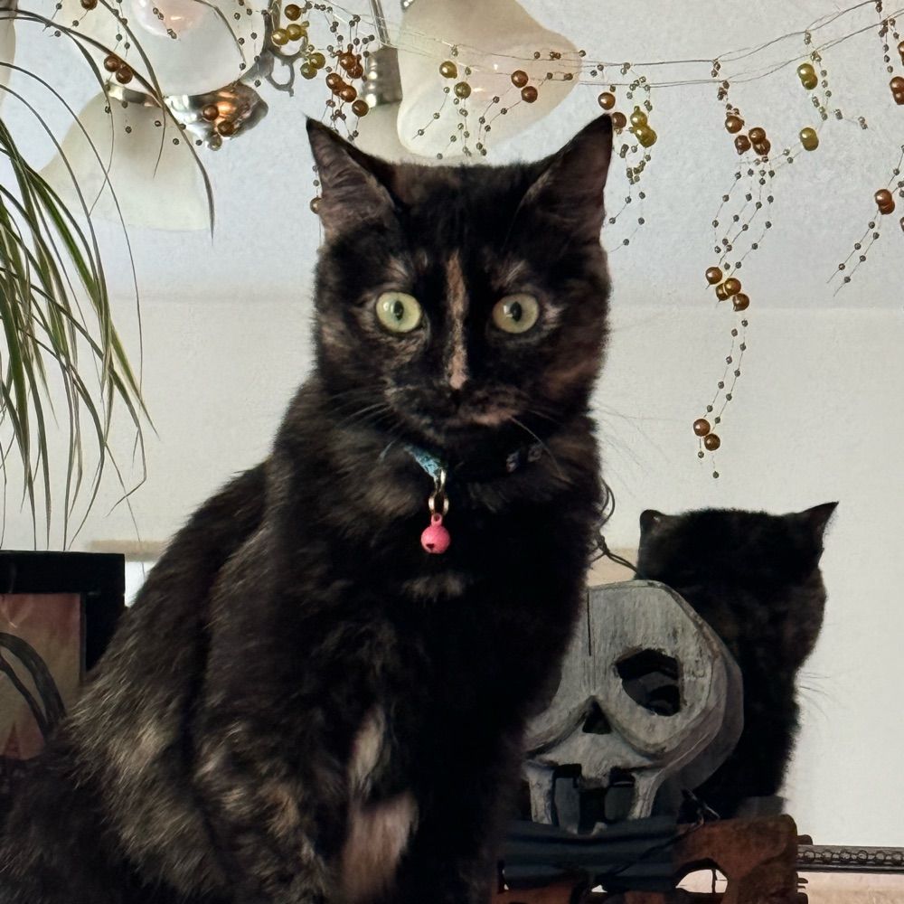 Ember