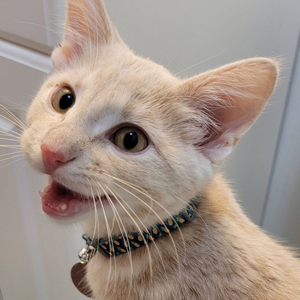 Maxwell