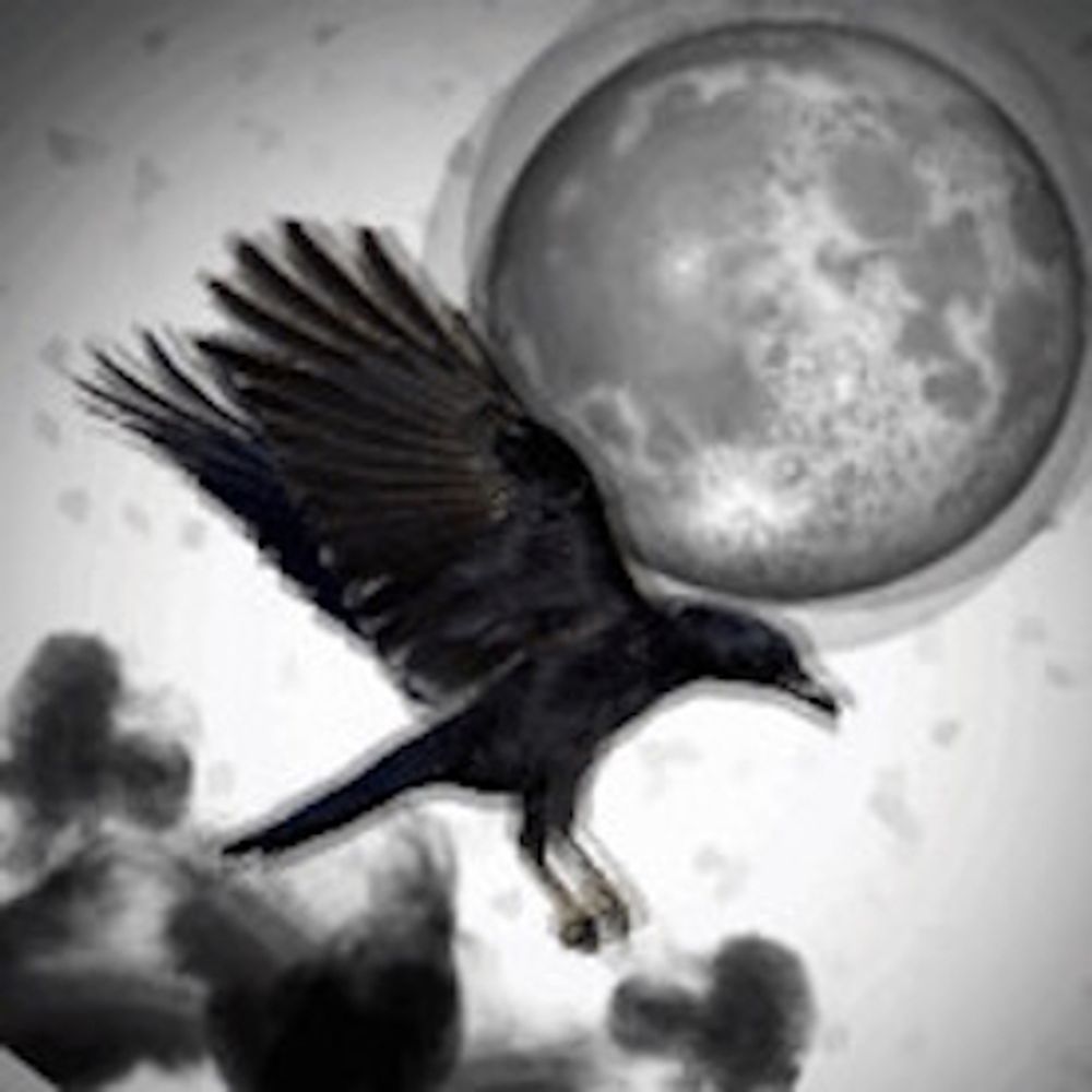 AeonianCrow