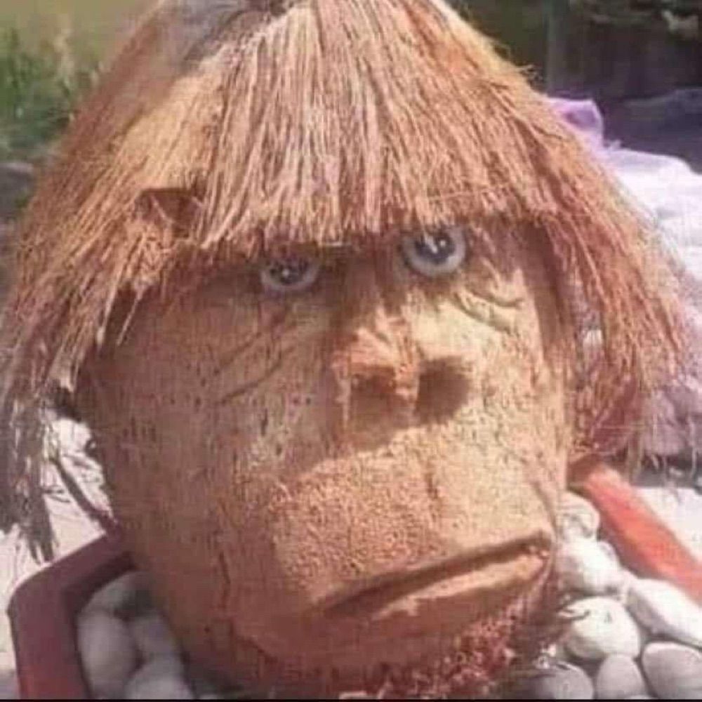 SI SA