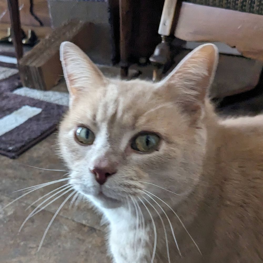 Paul