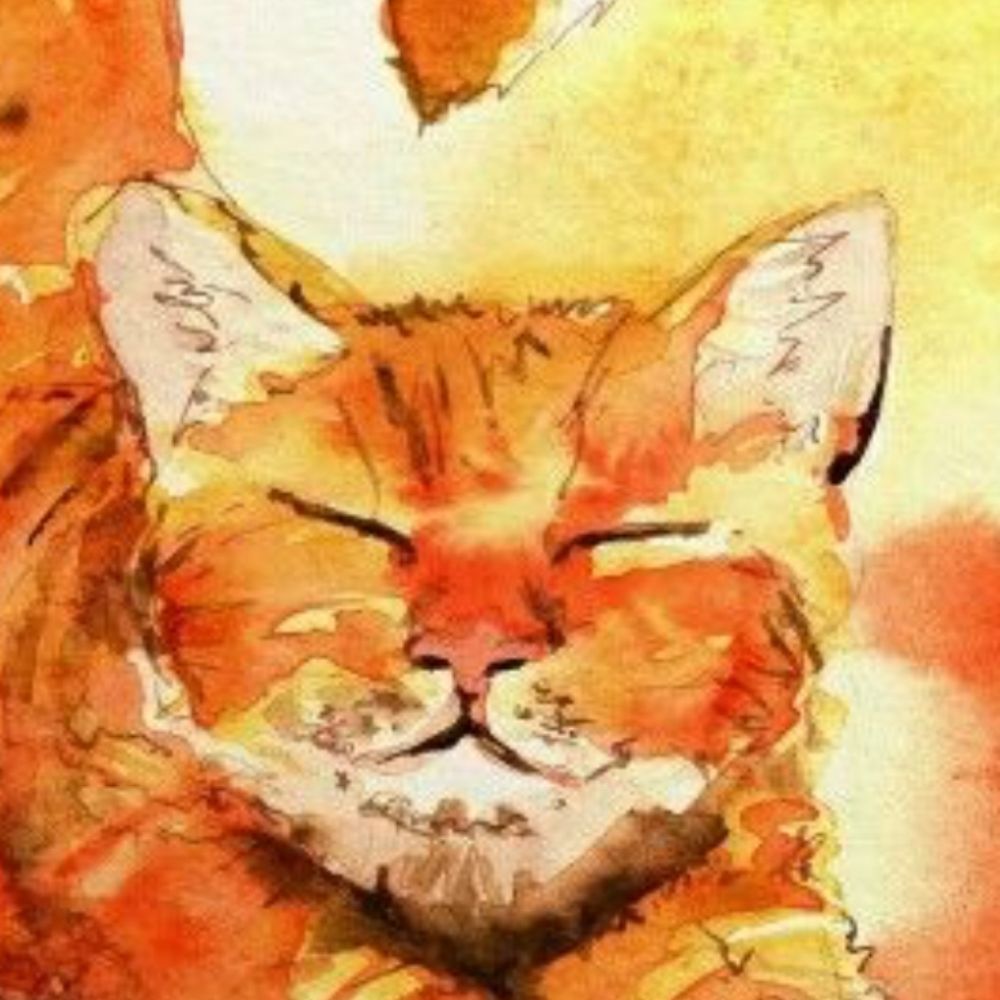 MewMeowMoo