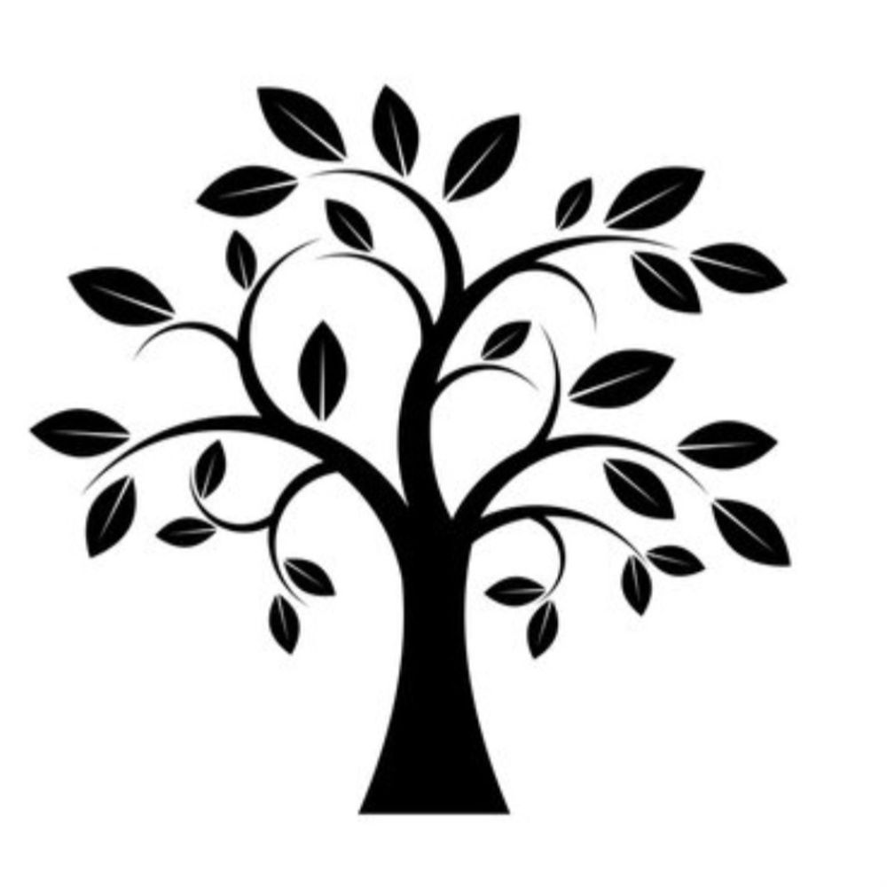 treeclimber333.bsky.social profile picture