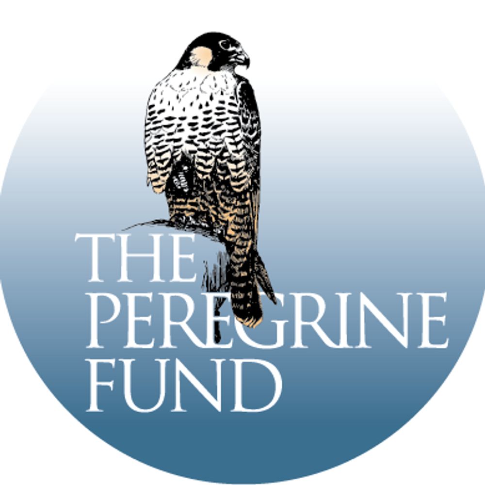 Profile picture theperegrinefund.bsky.social