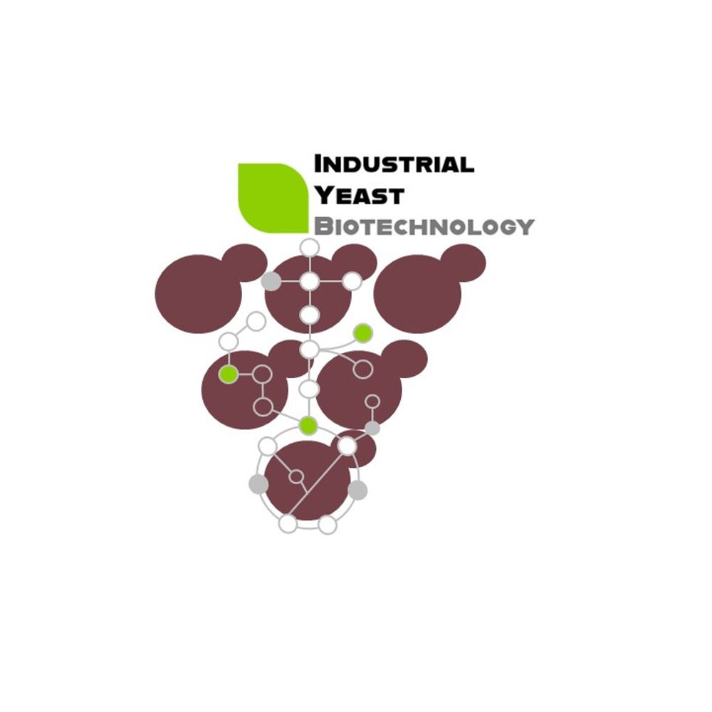 iYeastBiotech