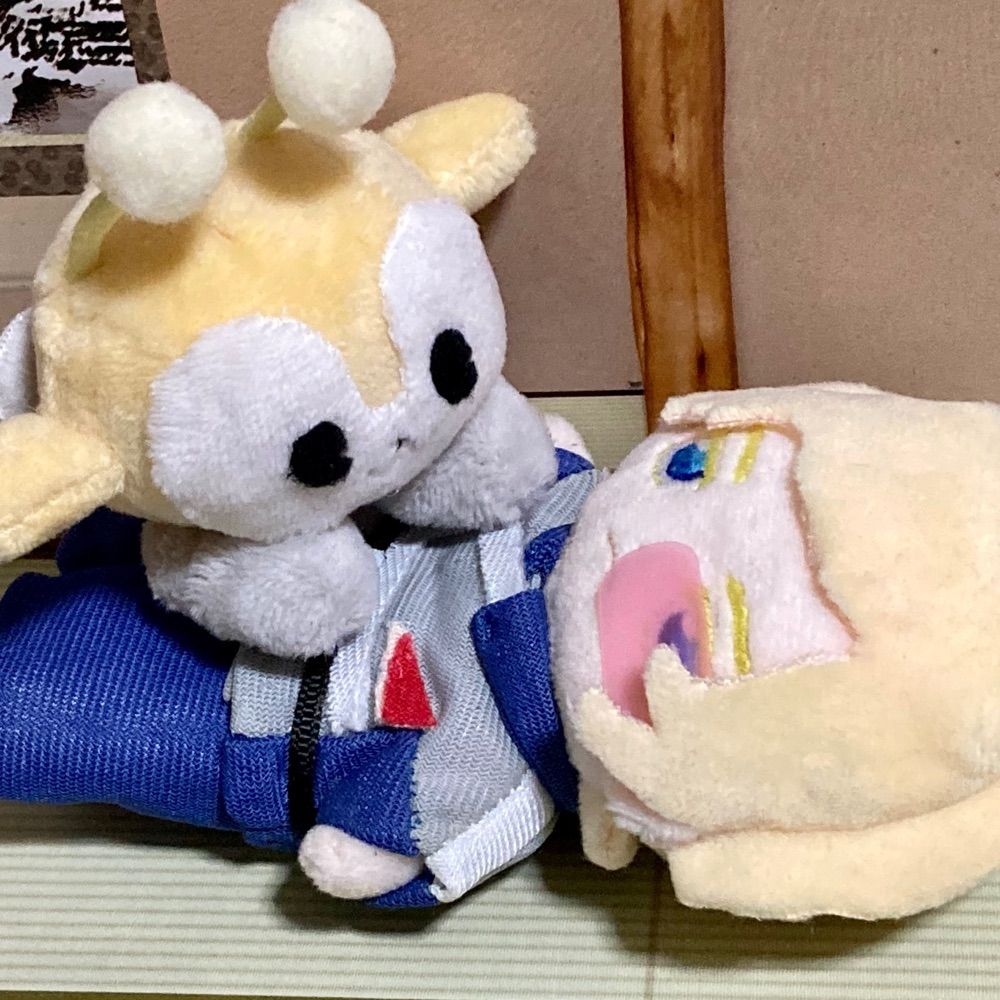 夜明🌙