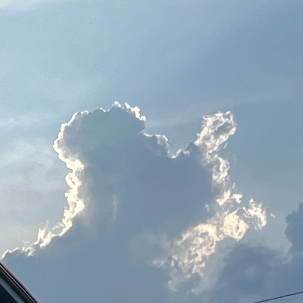 닻별