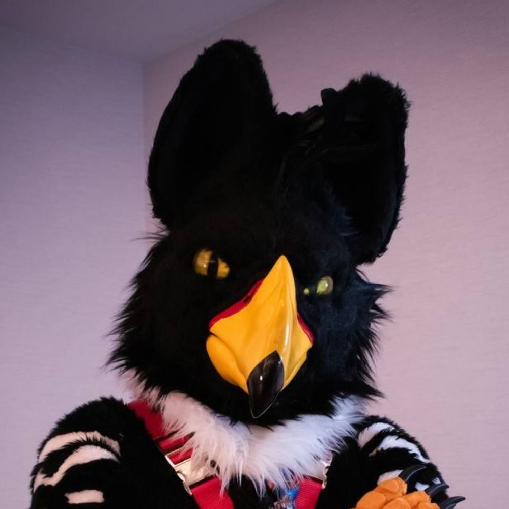 The StudGryph Experience 🔜 iFC