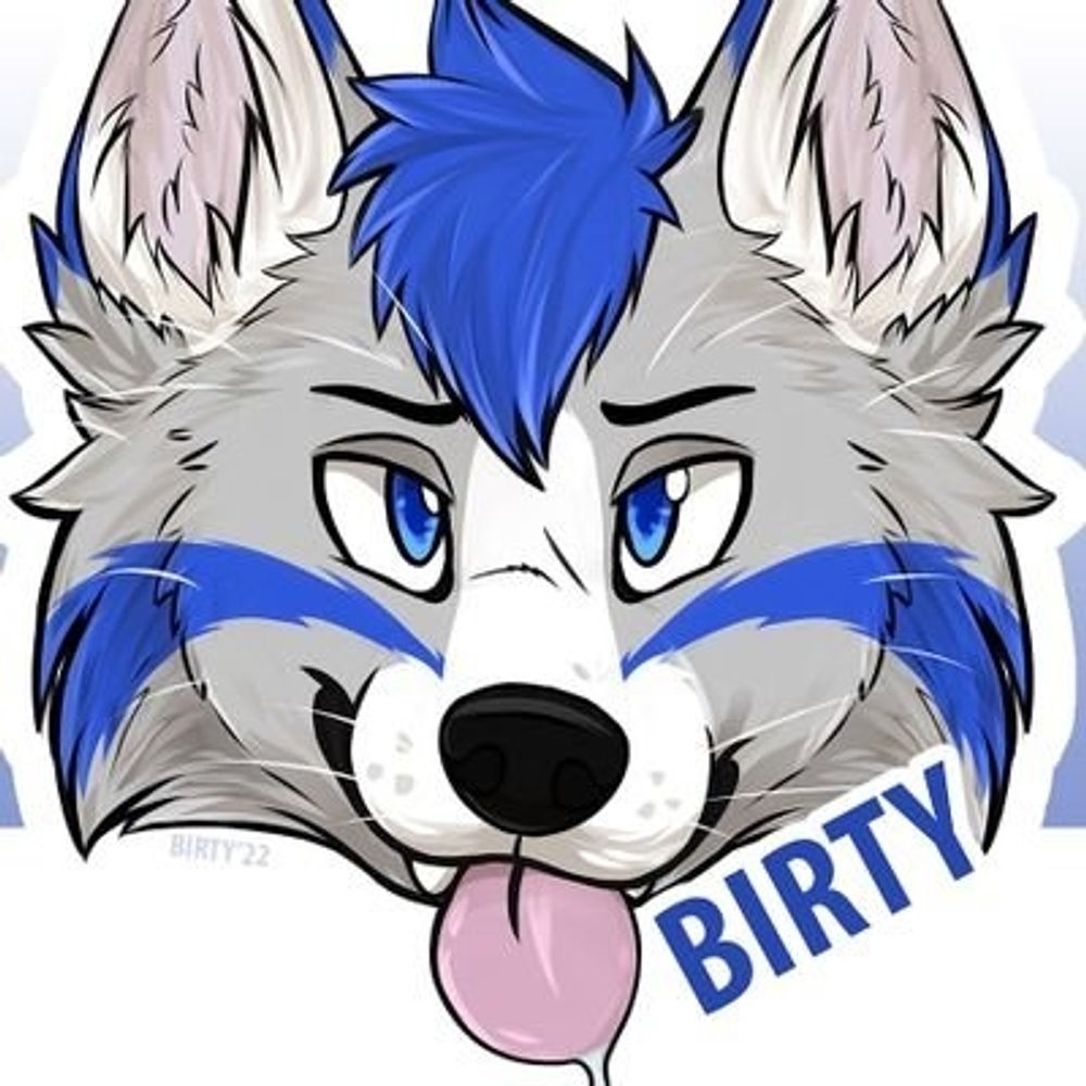 Birtyfur's avatar