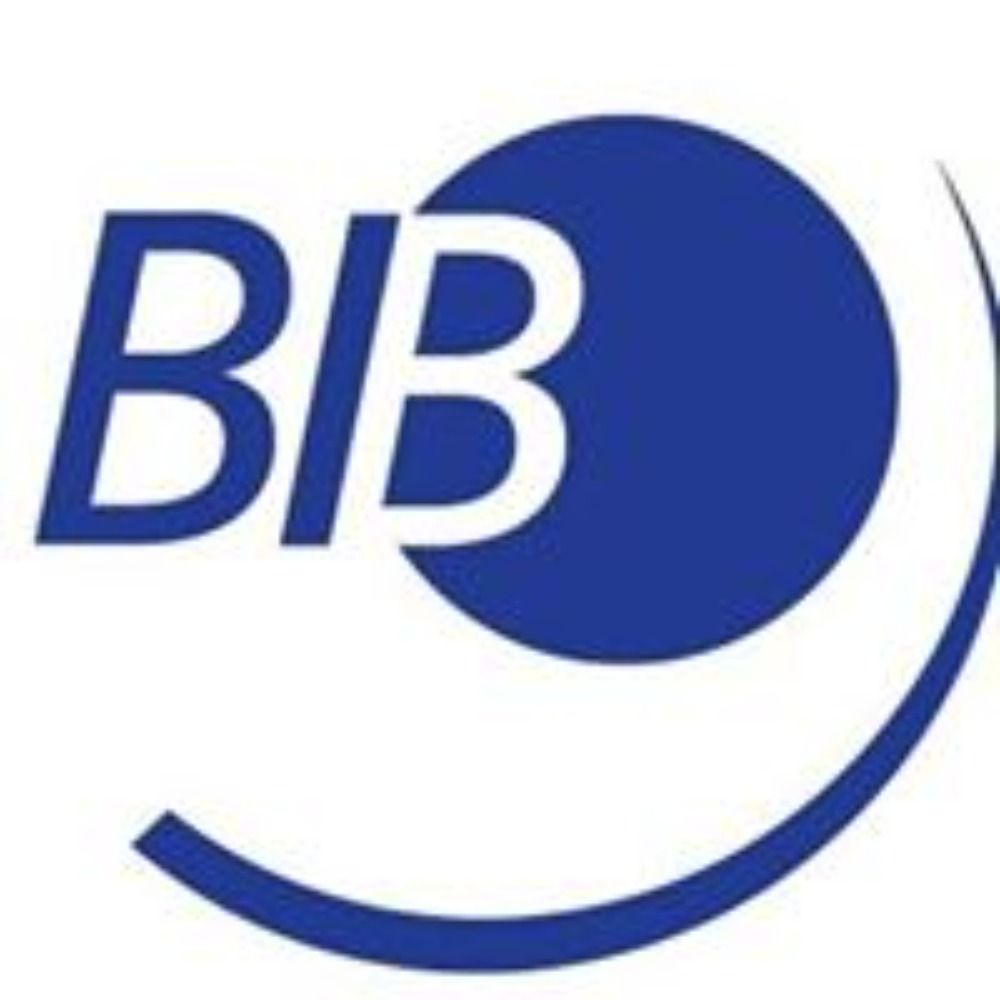 Berufsverband Information Bibliothek