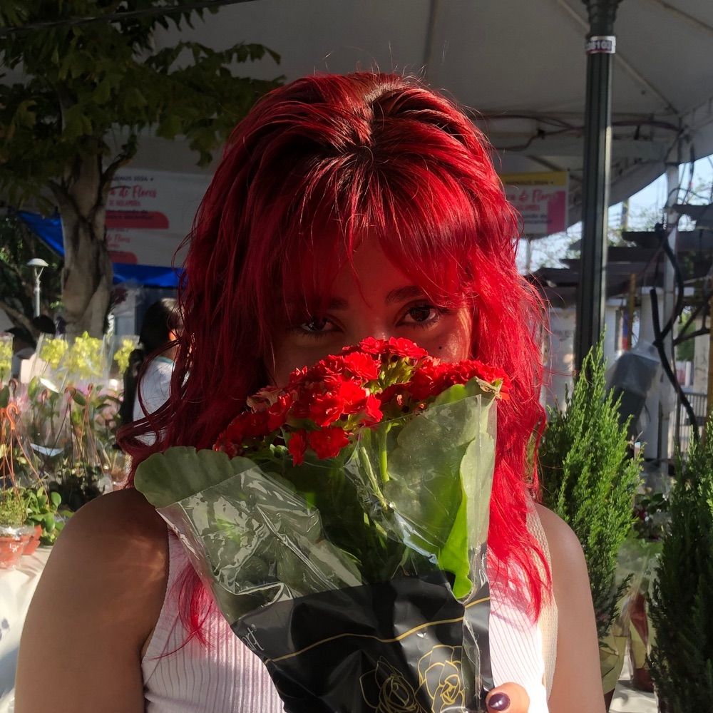 morango 🌷