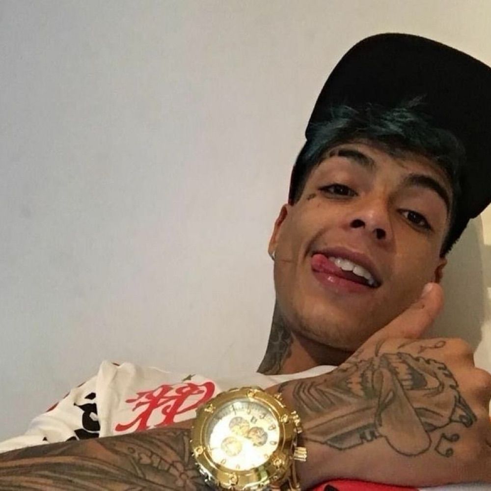 silvestrexz 