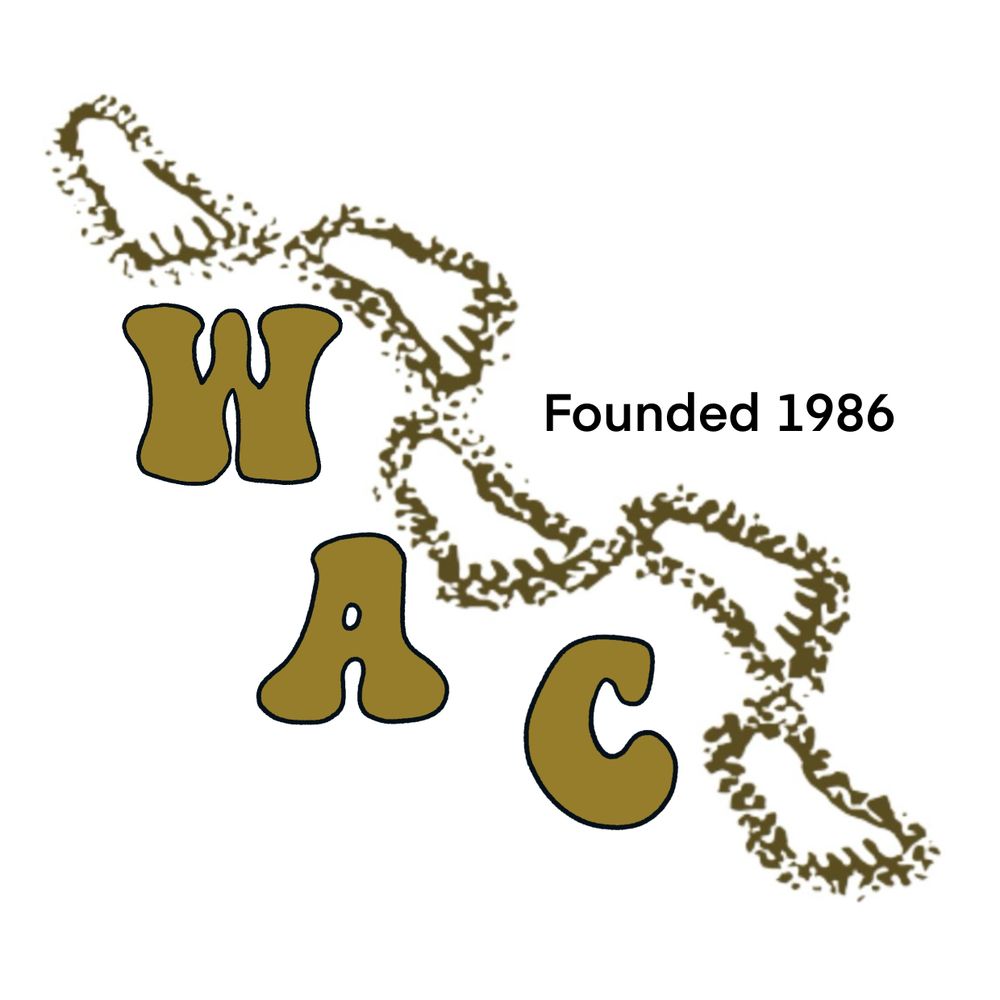 World Archaeological Congress