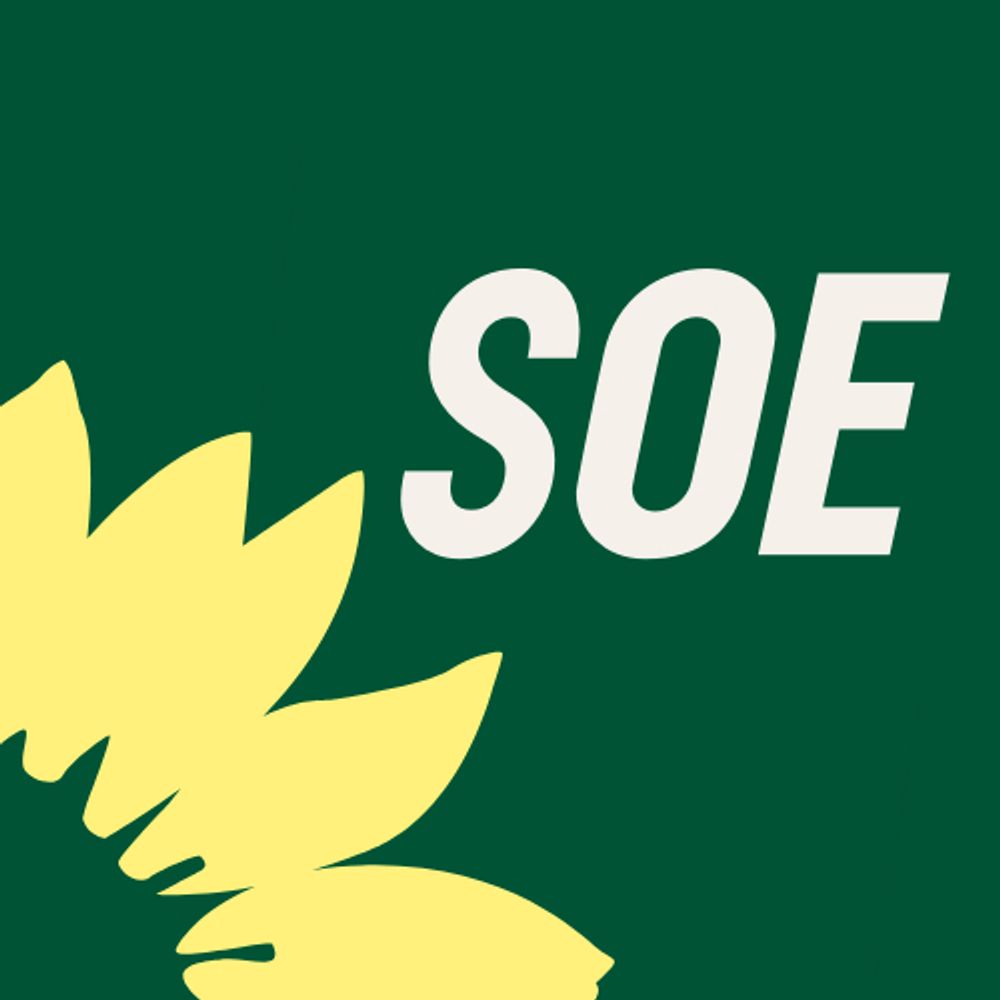Grüne SOE