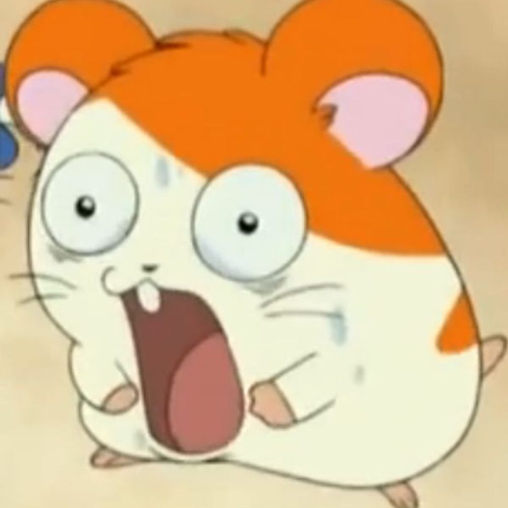 bardicartz.bsky.social profile picture