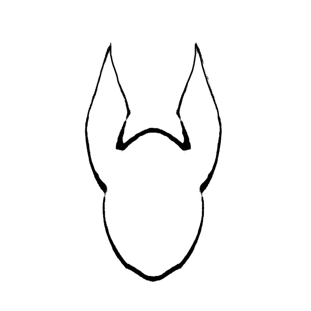 𓁢 Anubis BioConsulting 𓁢