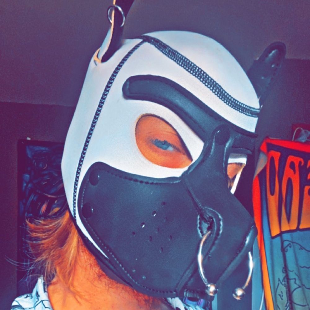 ✨PuPLuciD✨