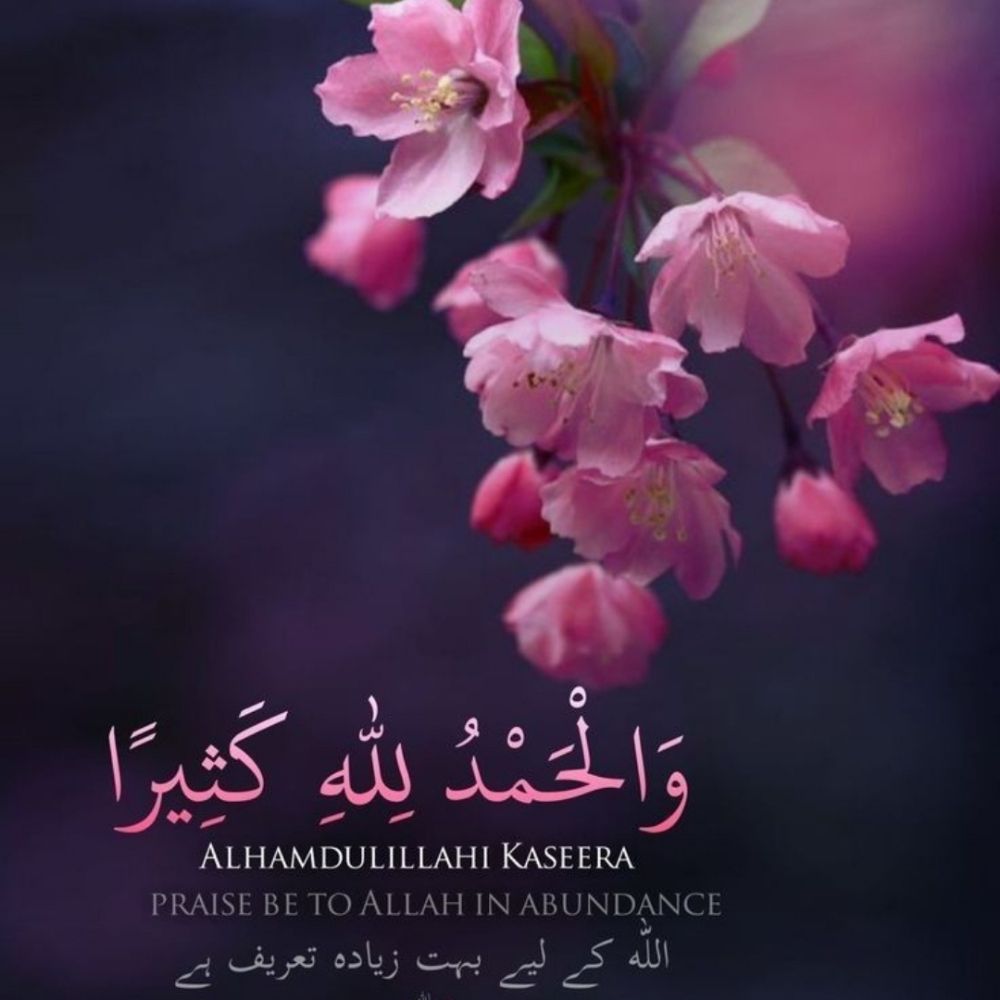 Zymal🌸