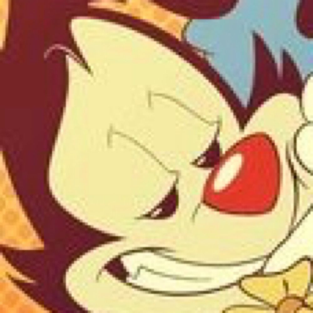 Yakko Warner 