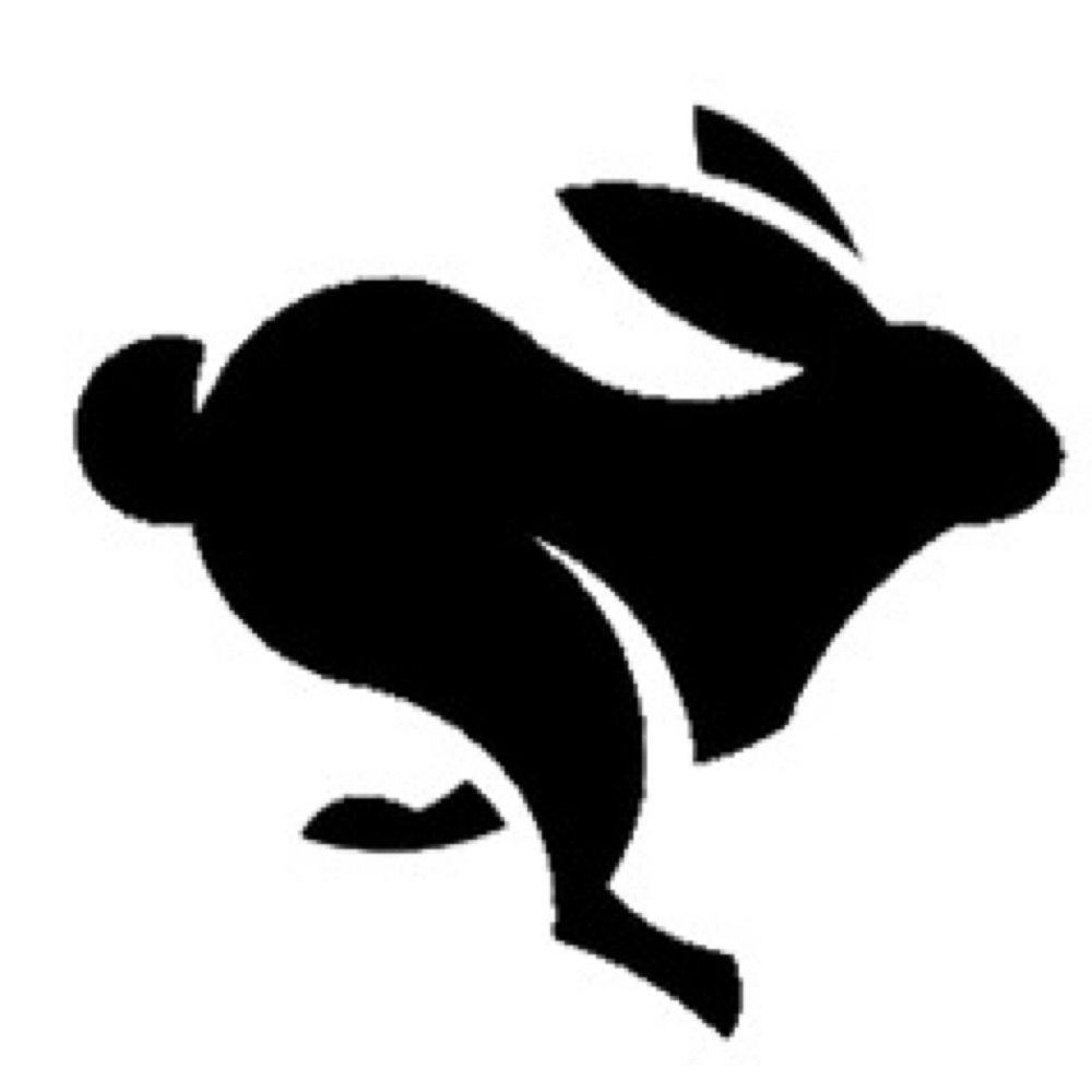 Lepus Xwords 𓃹
