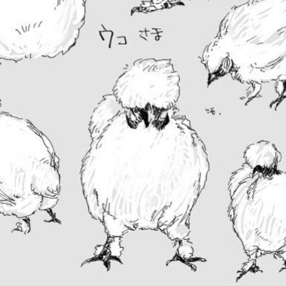 鳥の子