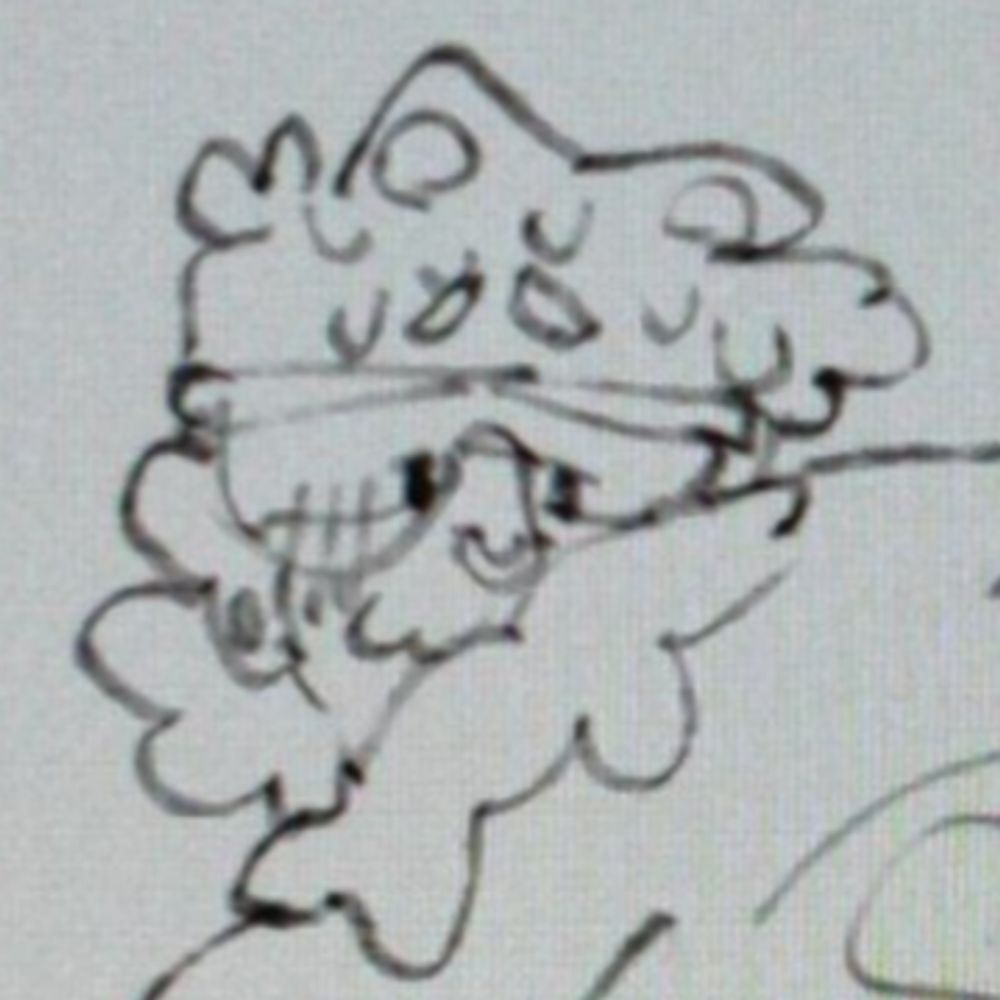 bear
