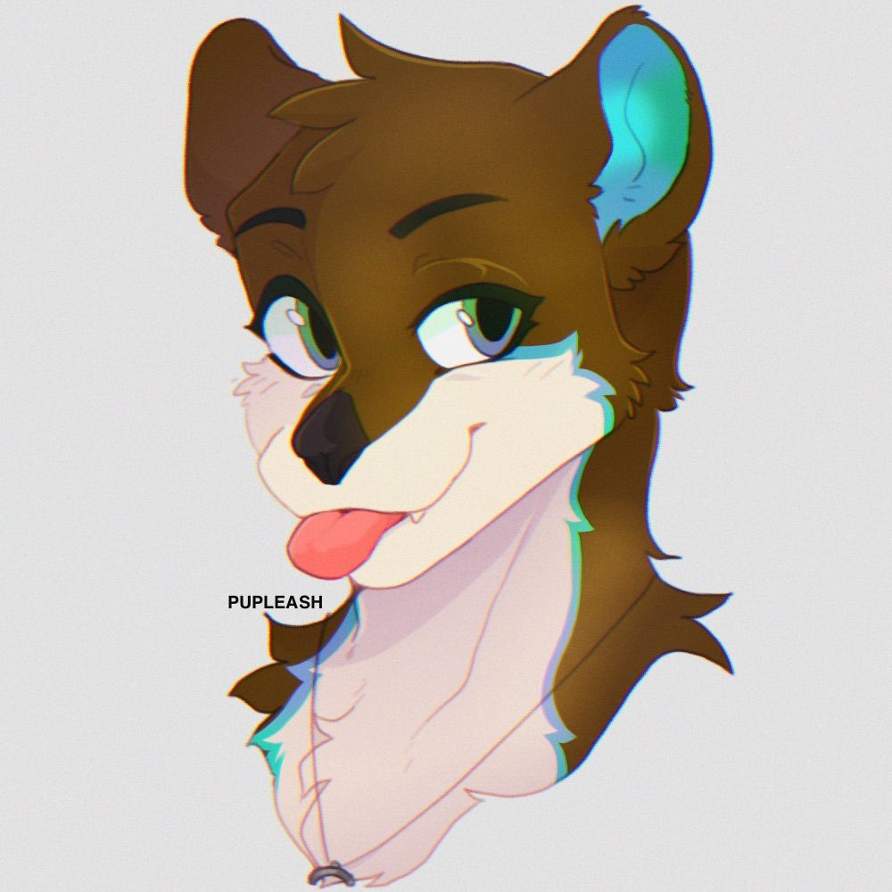 Oris the Otter