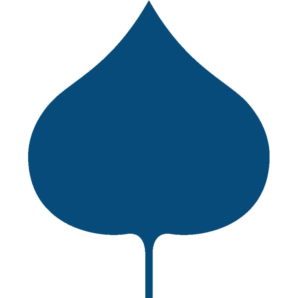 The Aspen Institute