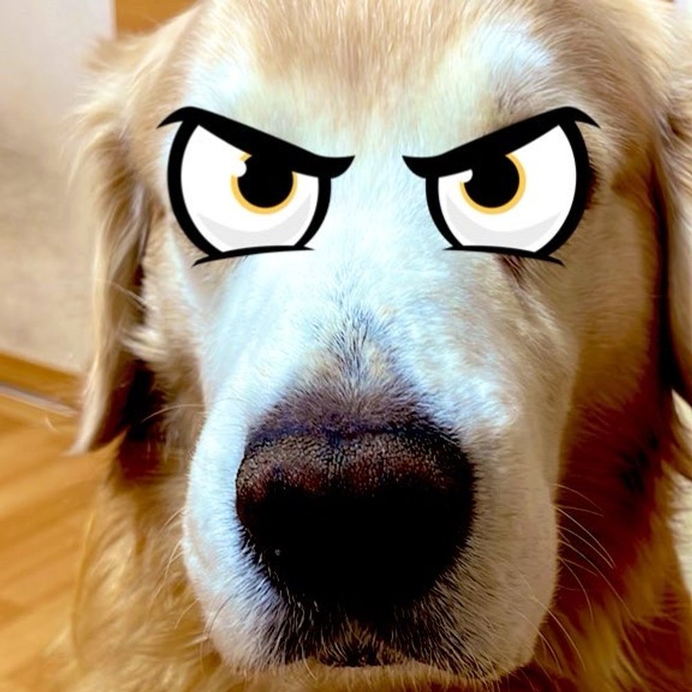 Ritomo
