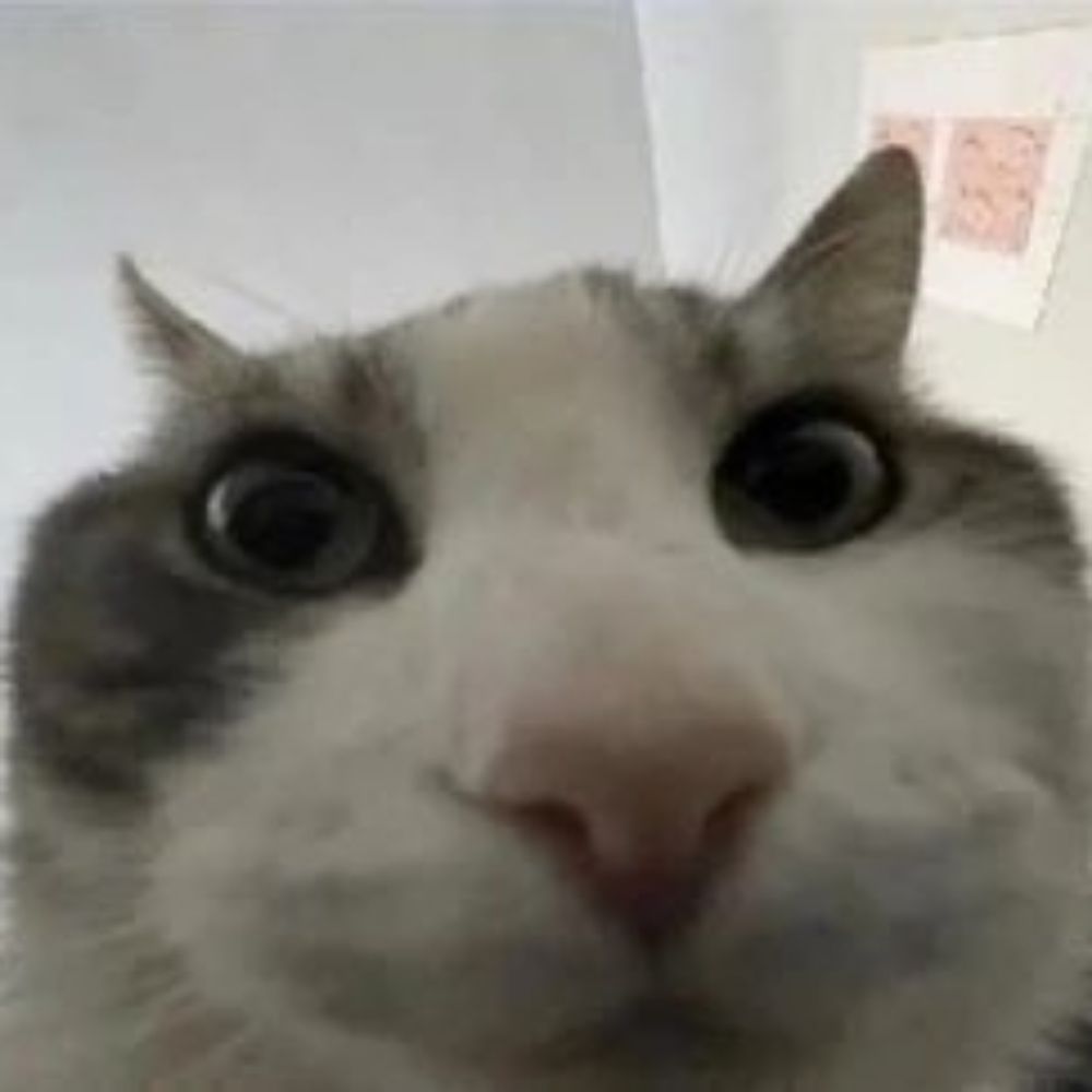 nom